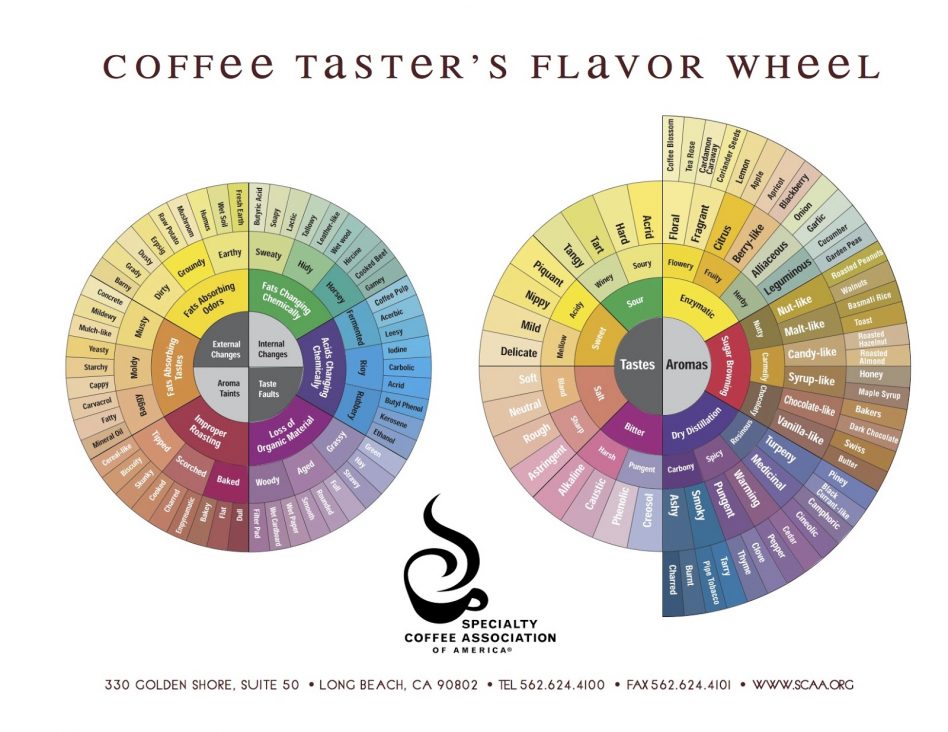 coffee_tasters_flavor_wheel